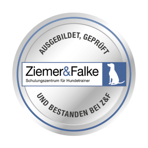 Sigel Ausgebildet und geprueft bei Ziemer und Falke 600x600 1 e1744270077140 Hundeschule Fellnase
