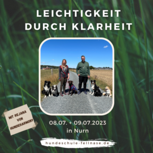 Leichtigkeit durch Klarheit Juli e1678972294366 Hundeschule Fellnase