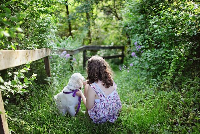 welpe und kind auf wiese Hundeschule Fellnase