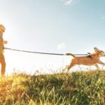 Das Beitragsbild zu "Hundesport - Die beliebtesten Sportarten mit Hund im Überblick" zeigt einen joggenden Mann, der die Leine seines Hundes um die hüfte gebunden hat. Der Hund läuft an gespannter Leine freudig vorne weg.