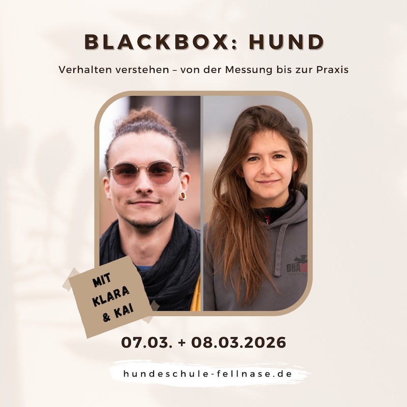 Das Produktbild von "BlackBox Hund" zeigt die zwei Dozenten Kai und Klara.