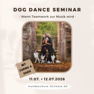 Das Produktbild für "DogDance Seminar" stellt die Trainerinnen Carina und Daggi mit ihren drei Hunden dar.