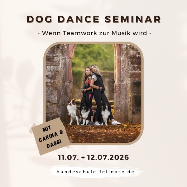 Das Produktbild für "DogDance Seminar" stellt die Trainerinnen Carina und Daggi mit ihren drei Hunden dar.