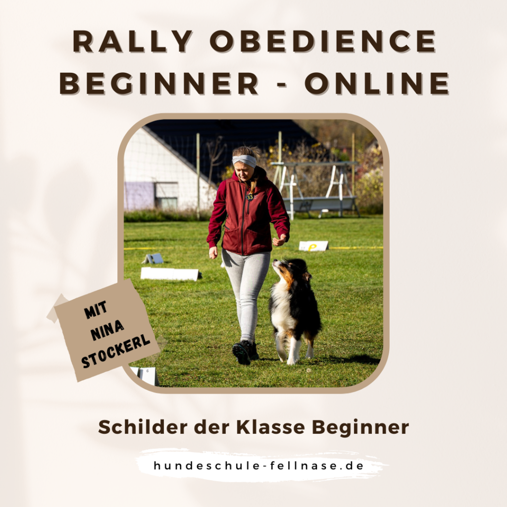 Rally Obedience