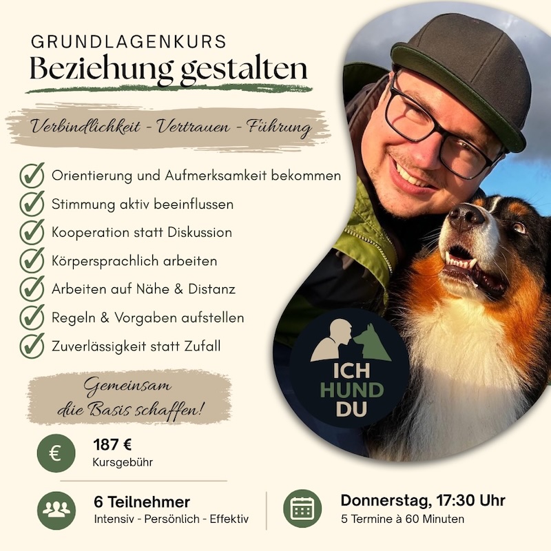 Das Produktbild für Beziehung gestalten zeigt die wichtigsten Details aus der Produktbeschreibung