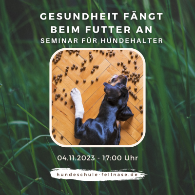 Ernährungsvortrag - Stefanie Pöplau