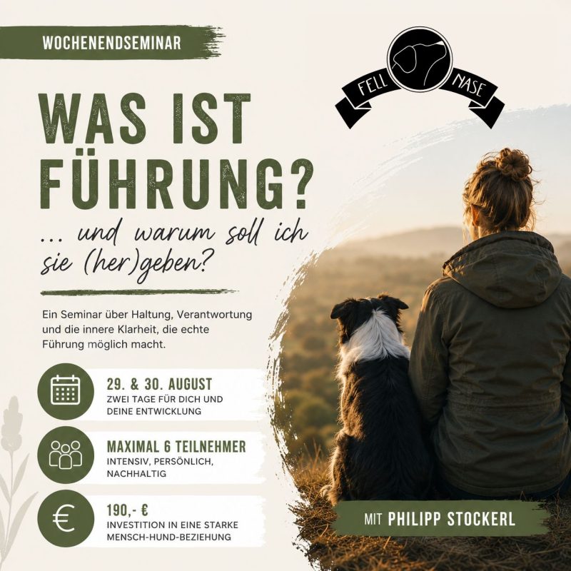 Das Produktbild zu "Was ist Führung?" zeigt die Daten der Veranstaltung. am rechten Rand des Bildes sitzt eine Besitzerin mit ihrem Hund auf dem Boden. der Rücken ist zur Kamera gerichtet. Beide werden von vorne von der Sonne angestrahlt.
