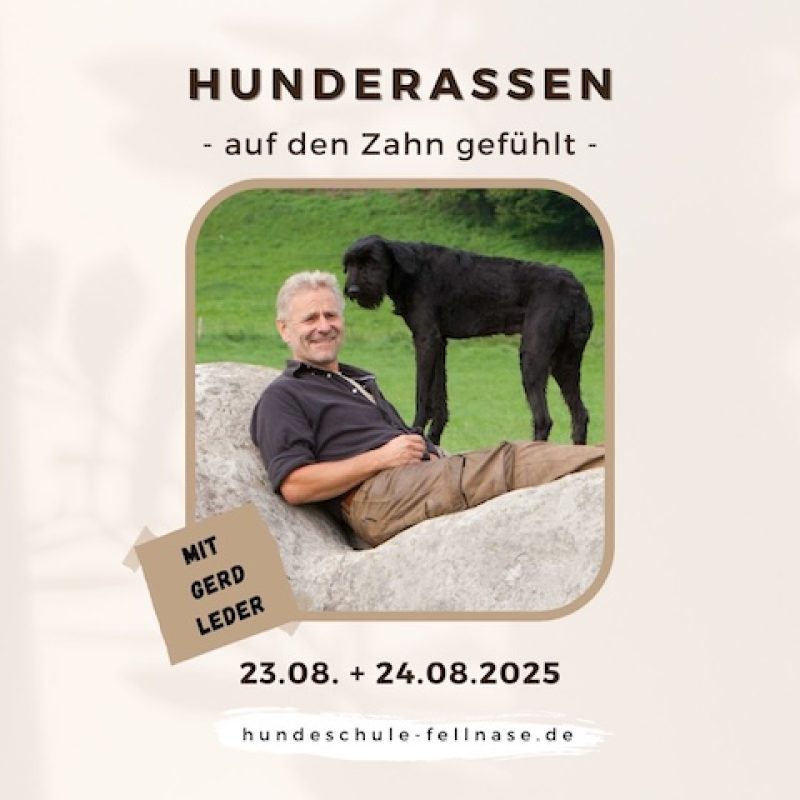 Hunderassen
