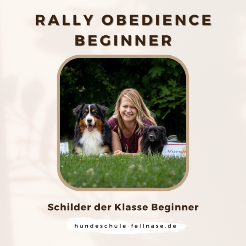 Kopie von Agility_2024