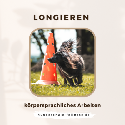 Longieren_2024