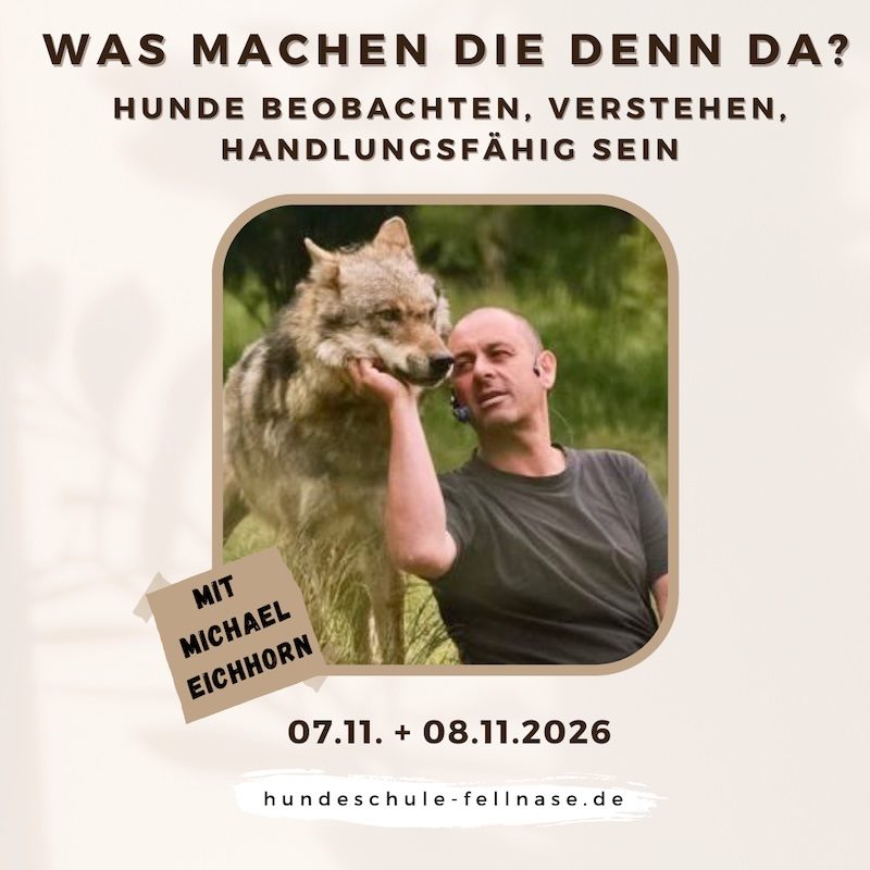 Das Produktbild zeigt den Dozenten, Michael Eichhorn, der einen Wolf, der sich ihm auf Kopfhöhe befindet, am Fang streichelt.