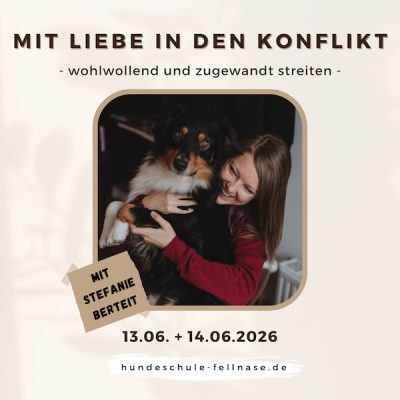 Produktbild zu "Mit Liebe in den Konflikt"