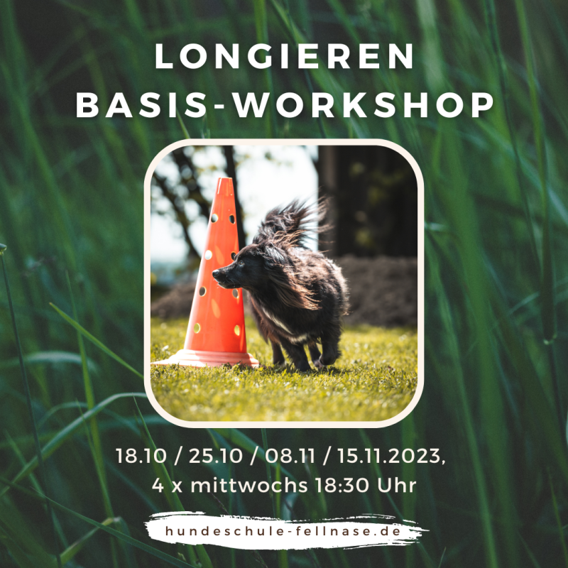 Shop_Longier_Kurs
