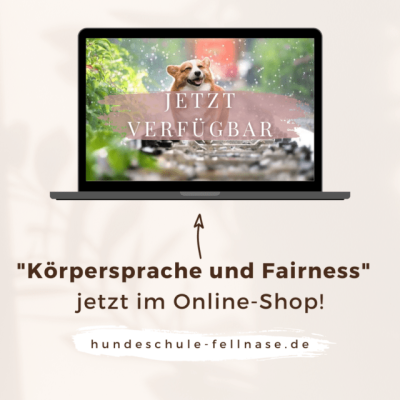 Produktbild zum Webinar Körpersprache und Fairness